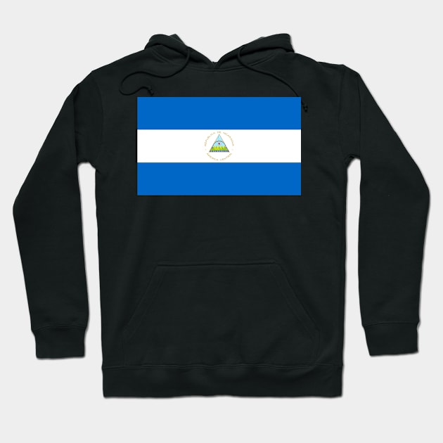 Flag of Nicaragua Hoodie by brigadeiro